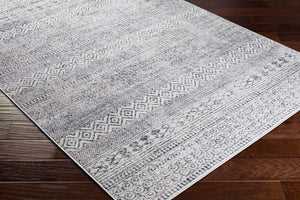 Livabliss Alice Bohemian Geometric Area Rug Machine Woven Polypropylene for Living or Dining Rooms ALC2300-81012