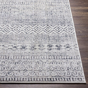 Livabliss Alice Bohemian Geometric Area Rug Machine Woven Polypropylene for Living or Dining Rooms ALC2300-81012
