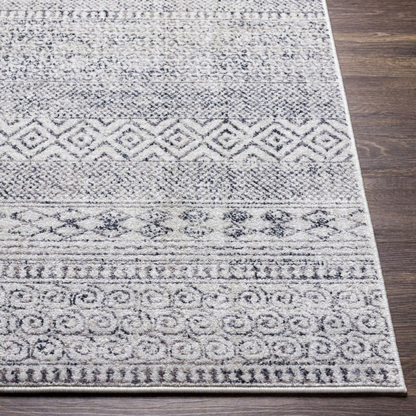 Livabliss Alice Bohemian Geometric Area Rug Machine Woven Polypropylene for Living or Dining Rooms ALC2300-81012