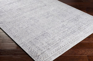 Livabliss Alice Traditional Pattern Polypropylene Area Rug Woven in Turkey for Living Rooms ALC2302-81012