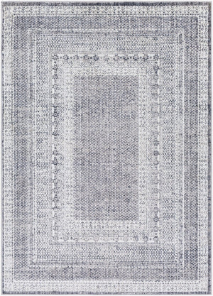 Livabliss Alice Traditional Polypropylene Area Rug Medium Pile for Living and Dining Rooms ALC2304-537