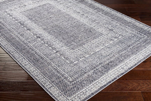 Livabliss Alice Traditional Polypropylene Area Rug Medium Pile for Living and Dining Rooms ALC2304-537
