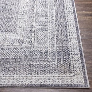 Livabliss Alice Traditional Polypropylene Area Rug Medium Pile for Living and Dining Rooms ALC2304-537