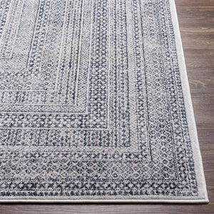 Livabliss Alice Medallion Polypropylene Area Rug Machine Woven for Living Room or Bedroom Medium Gray, Ch 8'10" x 12' ALC2305-81012