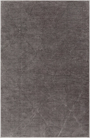 Livabliss Alder Global Inspired Polyester Area Rug Turkey Woven Medium Pile Living Room ALD2302-81112