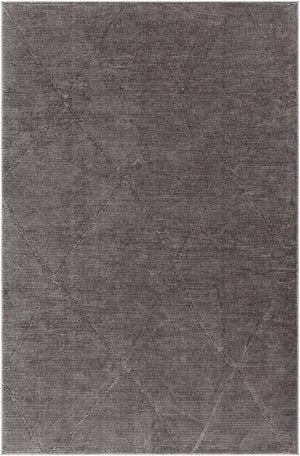 Alder ALD-2302 8'11" x 12' Machine Woven Rug ALD2302-81112 Livabliss Surya