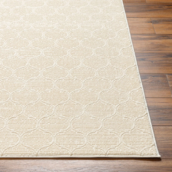 Livabliss Alder Turkish Machine Woven Polyester Area Rug Cottage Style for Large Living Spaces ALD2307-81112