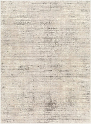 Livabliss Alder Global Pattern Polyester Accent Rug Machine Woven for Entryways and Bedside Areas Taupe, Gray 5' x 7' ALD2309-4117