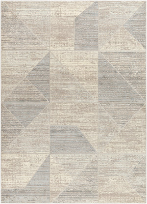 Alder ALD-2310 8'11" x 12' Machine Woven Rug ALD2310-81112 Livabliss Surya