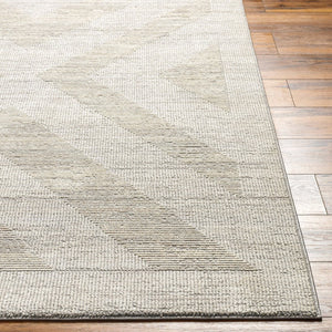 Livabliss Alder Machine Woven Polyester Accent Rug for Entryways Hallways and High Traffic Areas Gray, Cream 6'4" x 9' ALD2311-639