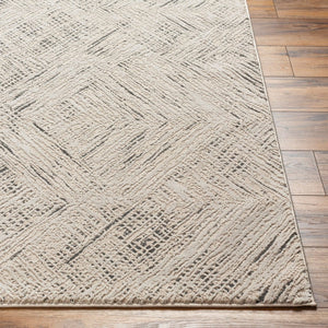Livabliss Alder Machine Woven Recycled Fabric Accent Rug for Entryways and High Traffic Floors Taupe, Ivory 8'11" x 12' ALD2313-81112