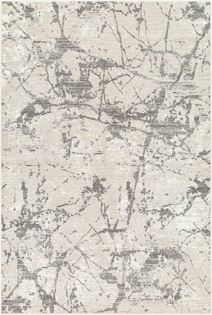 Livabliss Alder Recycled Fabric Turkish Area Rug Medium Pile Entryway Hallway Accent Ivory, Taupe 5' x 7' ALD2314-4117