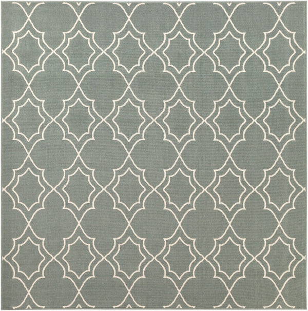 Livabliss Alfresco Flatweave Olefin Runner Rug Cottage Style for Hallways and Entryways Dusty Sage, Bei 8'10" x 8'10" Square ALF9589-89SQ