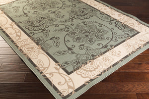 Livabliss Alfresco Outdoor Olefin Rug Egypt Woven Uv Resistant Patio Entryway Traditional Dusty Sage, Bei 2'5" x 7'10" ALF9594-2379