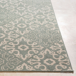 Livabliss Alfresco Outdoor Flatweave Olefin Area Rug Uv Resistant Patio Deck Moisture Shedding ALF9634-69