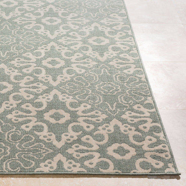 Livabliss Alfresco Outdoor Flatweave Olefin Area Rug Uv Resistant Patio Deck Moisture Shedding ALF9634-69