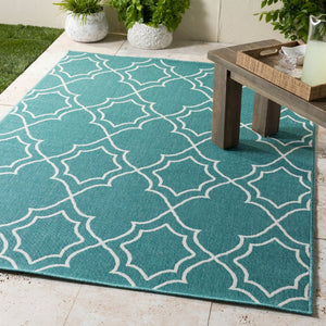 Livabliss Alfresco Flatweave Olefin Runner Rug for Hallways Entryways and Cottage Style Homes Teal, White 7'3" x 7'3" Round ALF9653-73RD