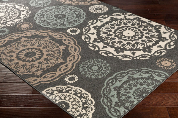 Livabliss Alfresco Flatweave Olefin Area Rug Cottage Style for Patio Sunroom or Casual Living Black, Sage 8'10" x 8'10" Square ALF9668-89SQ