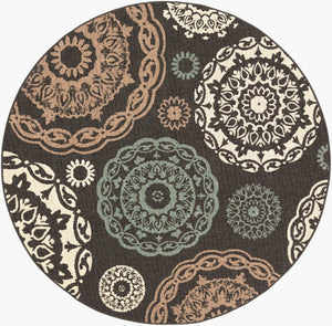Livabliss Alfresco Flatweave Olefin Area Rug Cottage Style for Patio Sunroom or Casual Living Black, Sage 8'10" x 8'10" Round ALF9668-89RD