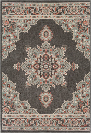 Livabliss Alfresco Olefin Runner Rug Outdoor Patio Traditional Pattern Uv Resistant Low Pile Black, Sage 8'10" x 12'10" ALF9671-89129