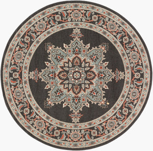 Livabliss Alfresco Olefin Runner Rug Outdoor Patio Traditional Pattern Uv Resistant Low Pile Black, Sage 8'10" x 8'10" ALF9671-89RD