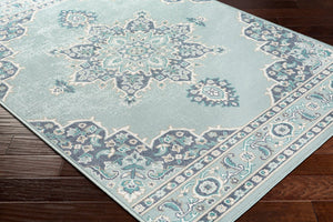 Livabliss Alfresco Outdoor Olefin Area Rug with Traditional Pattern for Patio or Entryway Use Navy, Pale Blue 5'3" x 5'3" ALF9687-53RD