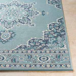 Livabliss Alfresco Outdoor Olefin Area Rug with Traditional Pattern for Patio or Entryway Use Navy, Pale Blue 5'3" x 5'3" ALF9687-53RD