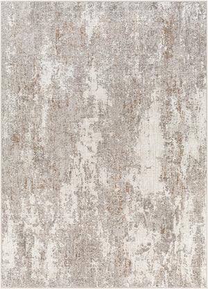 Livabliss Allegro Machine Woven Polyester Area Rug Turkish Minimalist Style for Living Rooms Ivory, Light Gr 5'3" x 7' ALG2304-537