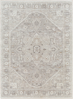 Allegro ALG-2324 5'3" x 7' Machine Woven Rug ALG2324-537 Livabliss Surya