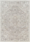 Allegro ALG-2324 5'3" x 7' Machine Woven Rug ALG2324-537 Livabliss Surya