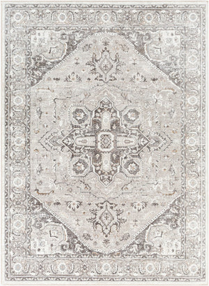 Livabliss Allegro Traditional Polyester Area Rug Machine Woven in Turkey for Living Rooms ALG2325-9212