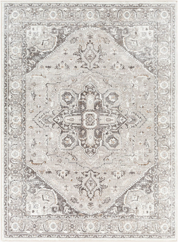 Livabliss Allegro Traditional Polyester Area Rug Machine Woven in Turkey for Living Rooms ALG2325-9212