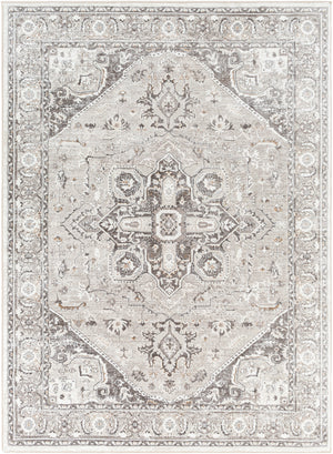 Allegro ALG-2325 5'3" x 7' Machine Woven Rug ALG2325-537 Livabliss Surya