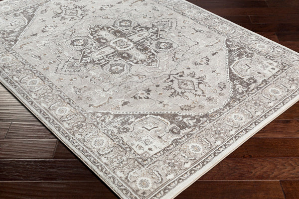 Livabliss Allegro Traditional Polyester Area Rug Machine Woven in Turkey for Living Rooms ALG2325-9212