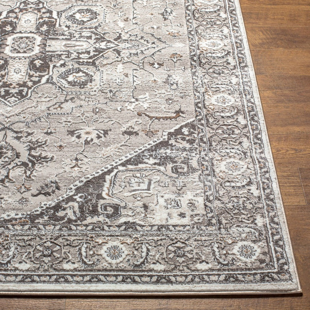 Livabliss Allegro Traditional Polyester Area Rug Machine Woven in Turkey for Living Rooms ALG2325-9212