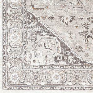 Livabliss Allegro Traditional Polyester Area Rug Machine Woven in Turkey for Living Rooms ALG2325-9212