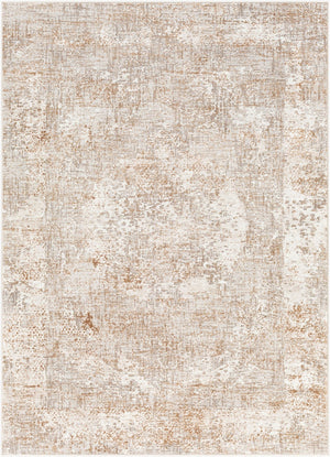 Livabliss Allegro Traditional Pattern Polyester Area Rug Machine Woven for High Traffic Rooms ALG2327-537