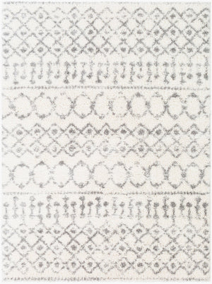 Livabliss Aliyah Plush Polyester Shag Rug Machine Woven in Turkey for Entryways and Bedrooms Cream, Gray 6'7" x 9' ALH2302-679