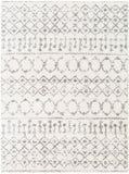 Aliyah Shag ALH-2302 6'7" x 9' Machine Woven Rug ALH2302-679 Livabliss Surya