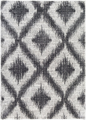 Livabliss Aliyah Moroccan Shag Rug Plush Polyester Pile Woven Accent for Entryway or Bedroom ALH2310-23