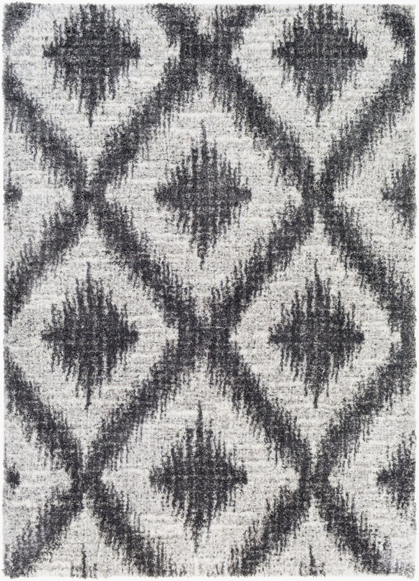 Livabliss Aliyah Moroccan Shag Rug Plush Polyester Pile Woven Accent for Entryway or Bedroom ALH2310-23
