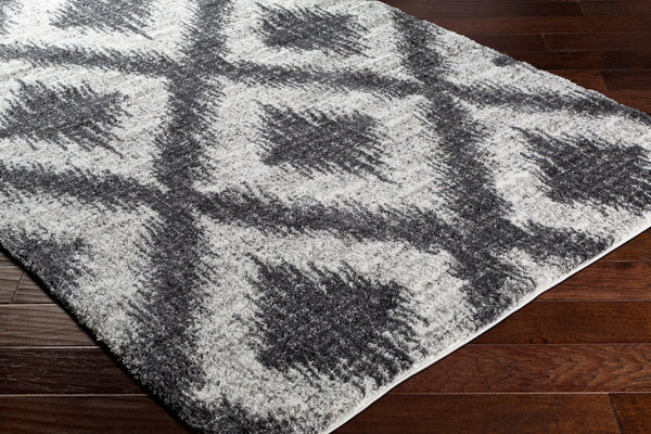 Livabliss Aliyah Moroccan Shag Rug Plush Polyester Pile Woven Accent for Entryway or Bedroom ALH2310-23