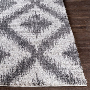 Livabliss Aliyah Moroccan Shag Rug Plush Polyester Pile Woven Accent for Entryway or Bedroom ALH2310-23