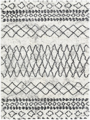 Livabliss Aliyah Bohemian Global Shag Rug Plush Polyester Pile for Living Room or Bedroom ALH2311-679