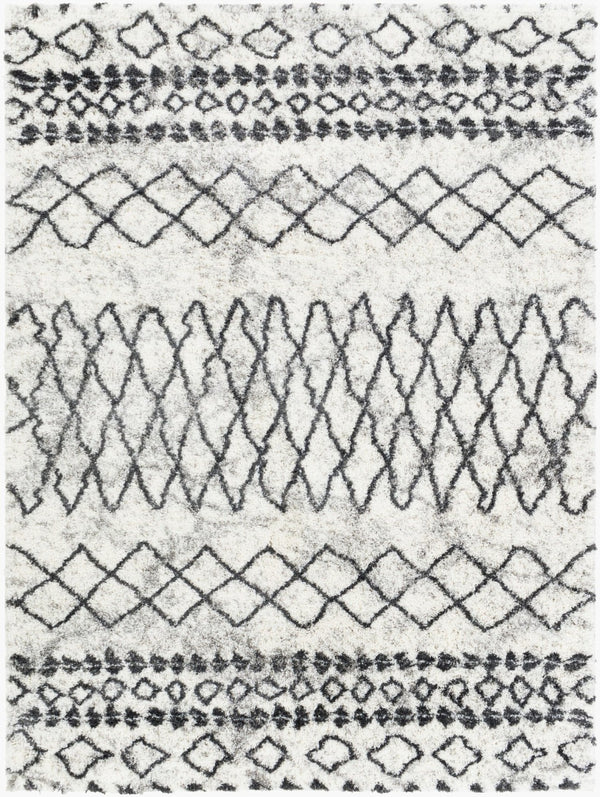 Livabliss Aliyah Bohemian Global Shag Rug Plush Polyester Pile for Living Room or Bedroom ALH2311-679