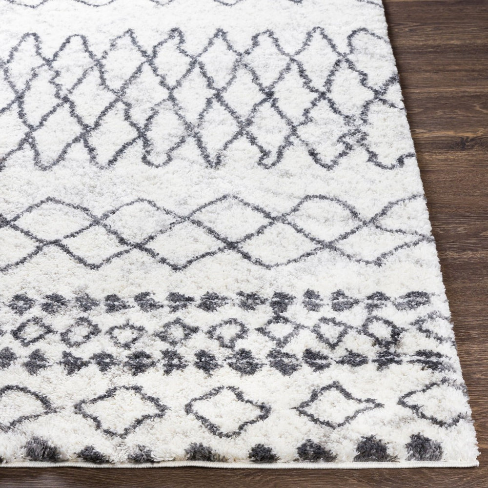 Livabliss Aliyah Bohemian Global Shag Rug Plush Polyester Pile for Living Room or Bedroom ALH2311-679