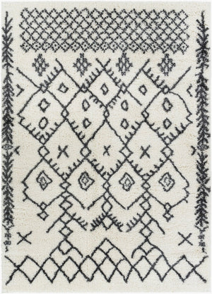 Livabliss Aliyah Moroccan Shag Rug Plush Polyester Pile for Bohemian Living Room Decor ALH2314-5373