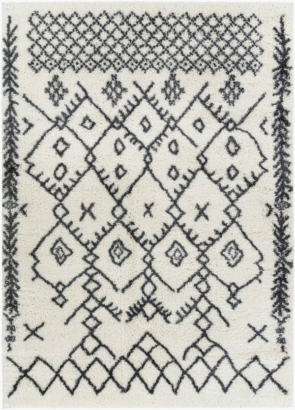 Livabliss Aliyah Moroccan Shag Rug Plush Polyester Pile for Bohemian Living Room Decor ALH2314-5373