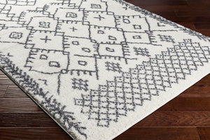 Livabliss Aliyah Moroccan Shag Rug Plush Polyester Pile for Bohemian Living Room Decor ALH2314-5373