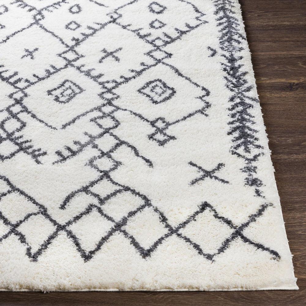 Livabliss Aliyah Moroccan Shag Rug Plush Polyester Pile for Bohemian Living Room Decor ALH2314-5373